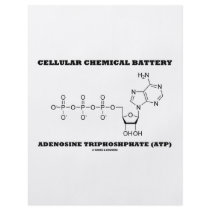 Cellular Chemical Battery Adenosine Triphosphate Full Color Flyer