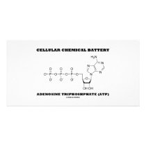 Cellular Chemical Battery Adenosine Triphosphate Photo Cards