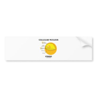 Cellular Nucleus Inside (Cell Biology) bumpersticker