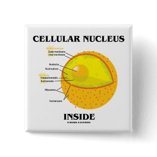 Cellular Nucleus Inside (Cell Biology) button