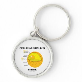 Cellular Nucleus Inside (Cell Biology) keychain