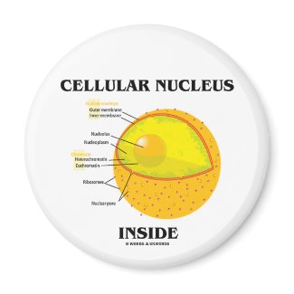 Cellular Nucleus Inside (Cell Biology) magnet