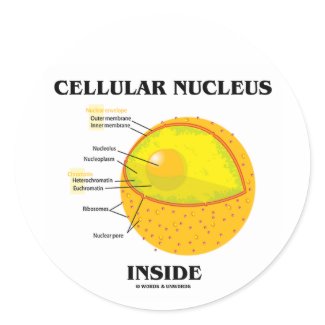 Cellular Nucleus Inside (Cell Biology) sticker