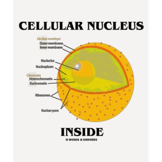 Cellular Nucleus Inside (Cell Biology) shirt