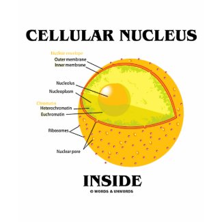 Cellular Nucleus Inside (Cell Biology) shirt