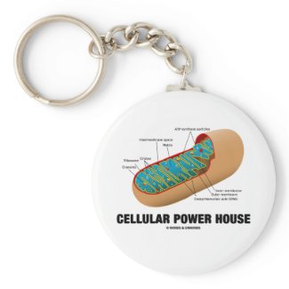 Cellular Power House (Mitochondrion) Keychains