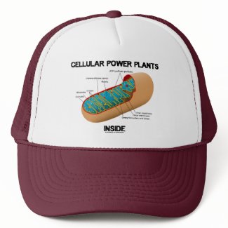 Cellular Power Plants Inside (Mitochondrion) hat