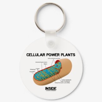 Cellular Power Plants Inside (Mitochondrion) keychain