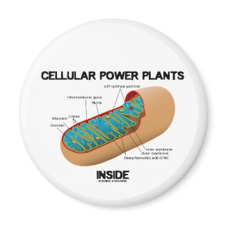Cellular Power Plants Inside (Mitochondrion) magnet