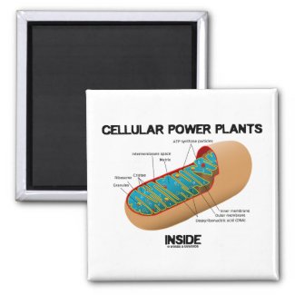 Cellular Power Plants Inside (Mitochondrion) Refrigerator Magnets