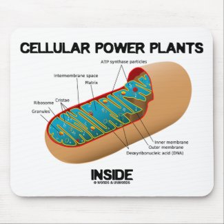Cellular Power Plants Inside (Mitochondrion) Mouse Pad