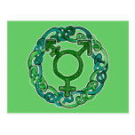 Celtic Knotwork Transgender Symbol Postcard