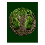 Celtic Tree Of Life Postcards