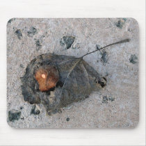 Cement Leaf mousepads