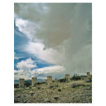 Cement Pilings Under Desert Rainclouds Flyers