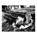 Cemetary Angel black&white - Print