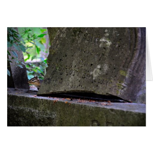 Cemetery Chipmunk Greeting Card