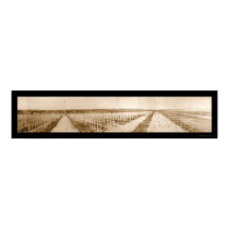Cemetery France WWI Photo 1919 posters