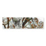 Cemetery Statues Vases Bumper Sticker