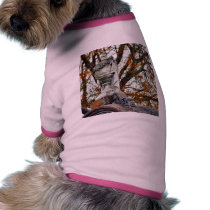 Cemetery Statues Vases pet clothing by lifesphere Cemetery Statues Vases pet clothing