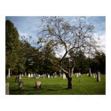 Cemetery Tree posters