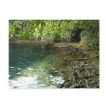 Cenote Postcard