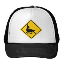 Centaur Crossing Mesh Hat