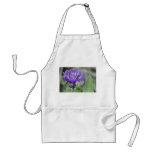 Centaurea apron