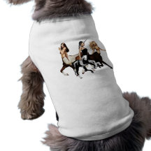 Centaurs Pet Shirt