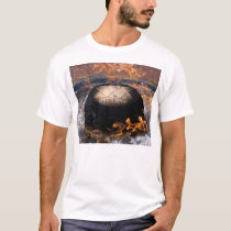 Centennial Flame   t-shirts