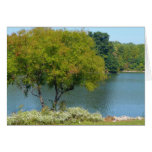 Centennial Lake Card