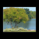 Centennial Lake Postcard