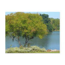 Centennial Lake Postcard