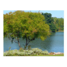 Centennial Lake Postcard