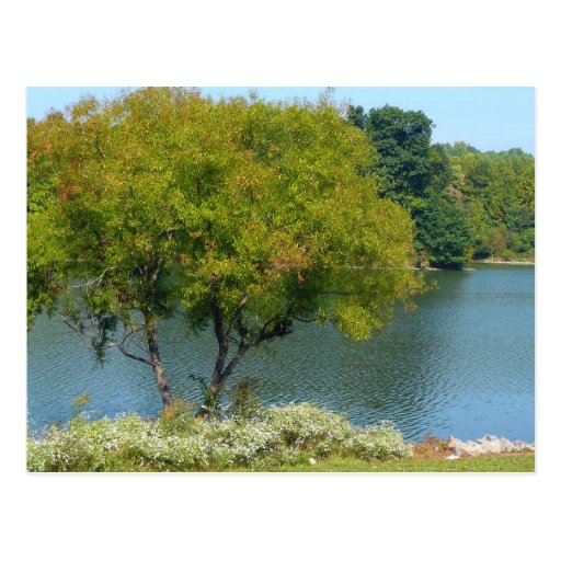 Centennial Lake Postcard