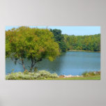 Centennial Lake Print