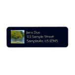 Centennial Lake Return Address Label