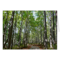 Centennial Wooded Path II Card