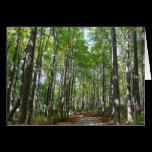 Centennial Wooded Path II Card