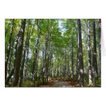 Centennial Wooded Path II Card