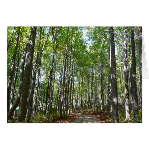 Centennial Wooded Path II Card