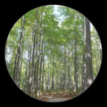 Centennial Wooded Path II Sticker