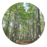 Centennial Wooded Path II Sticker