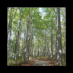 Centennial Wooded Path Magnet