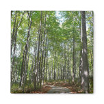 Centennial Wooded Path Magnet