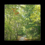 Centennial Wooded Path Nature Magnet