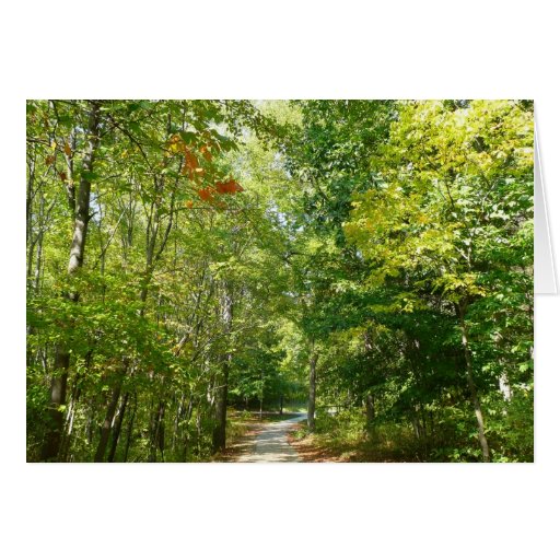 Centennial Wooded Path Nature Photography Card