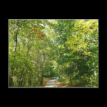 Centennial Wooded Path Nature Postcard