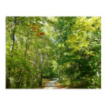 Centennial Wooded Path Nature Postcard
