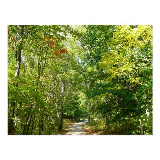 Centennial Wooded Path Nature Postcard